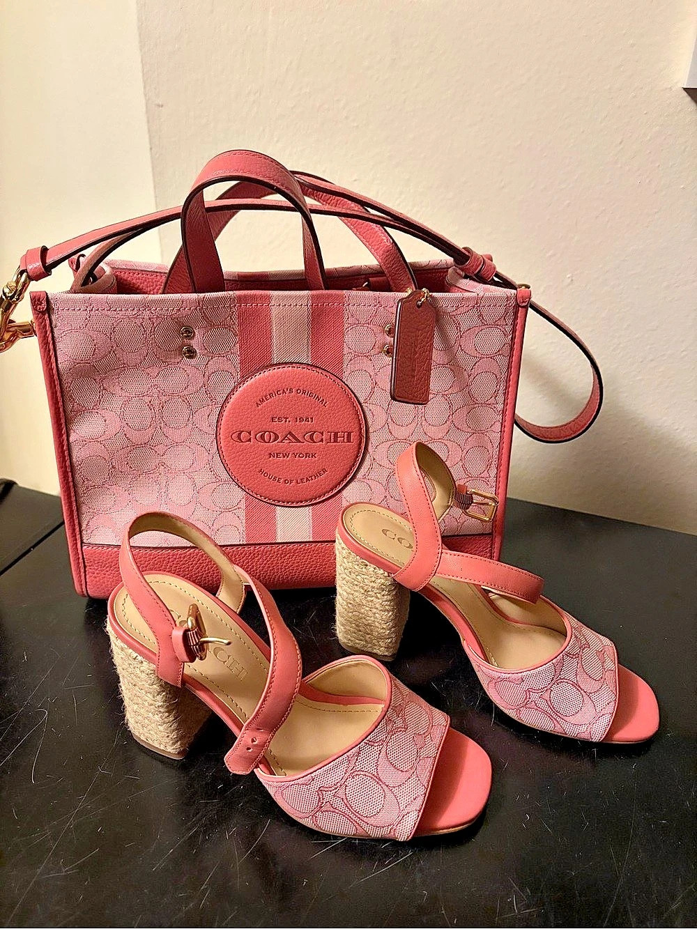 Coach City Tote 22 Pink with Shoes Size 6